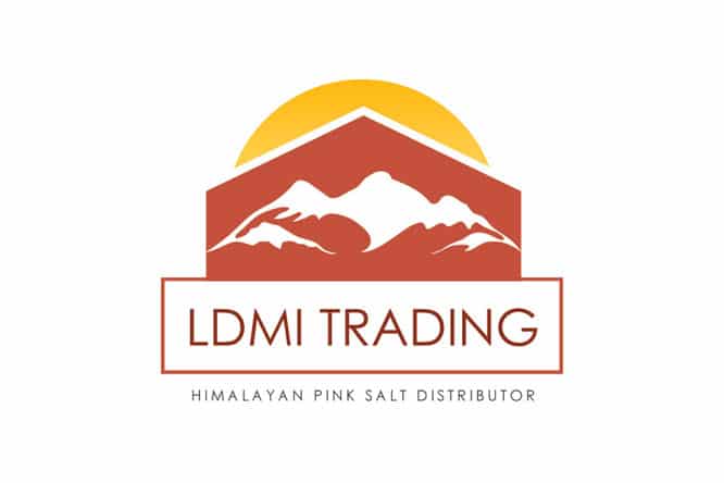 ldmi trading logo
